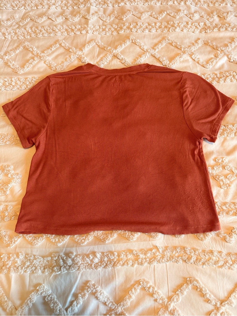 American Eagle Soft & Sexy Ribbed V-Neck Tee Dusty Rose Terracotta Size Small - Picture 2 of 5